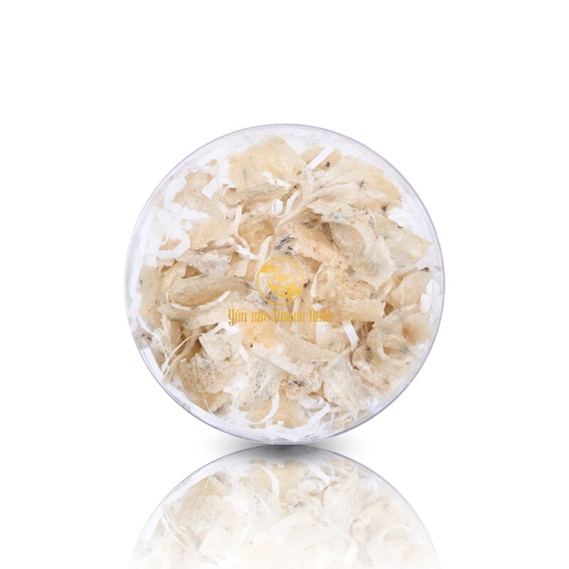 Chân Yến Thô Bể Dewis Nest Size lớn 100gr