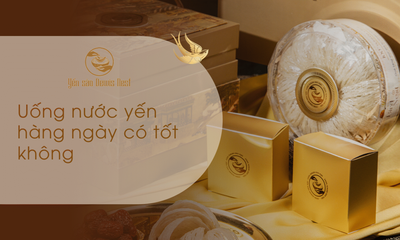 Uống nước yến mỗi ngày có tốt không? Lời khuyên từ chuyên gia