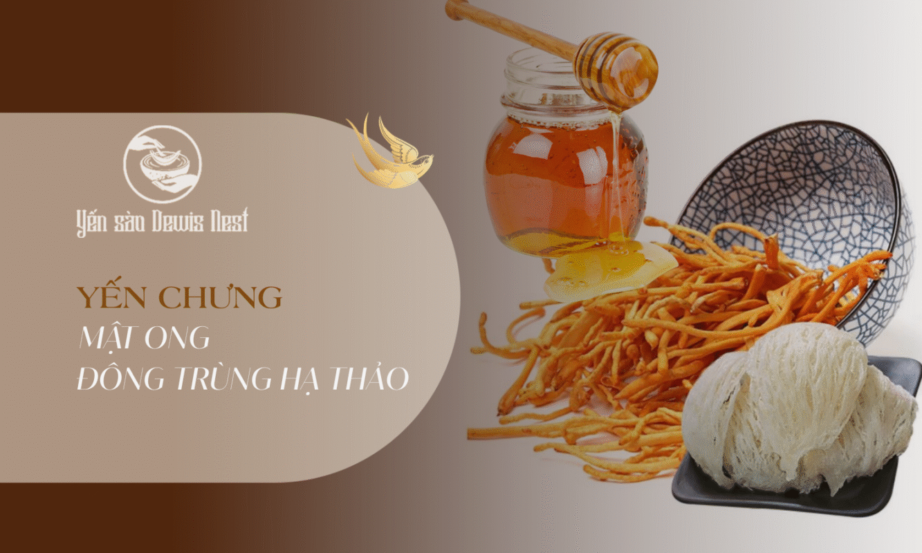 Hướng dẫn làm Yến chưng mật ong đông trùng hạ thảo: Công thức vàng cho sức khỏe toàn diện